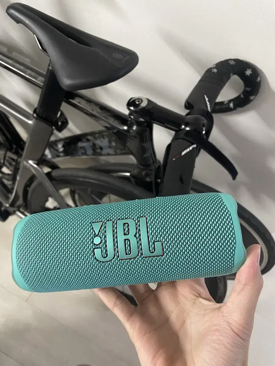 JBL 플립 6